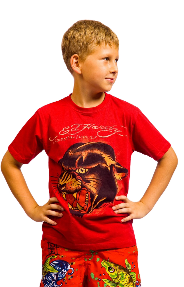 Ed Hardy футболка 5BG192TPAN