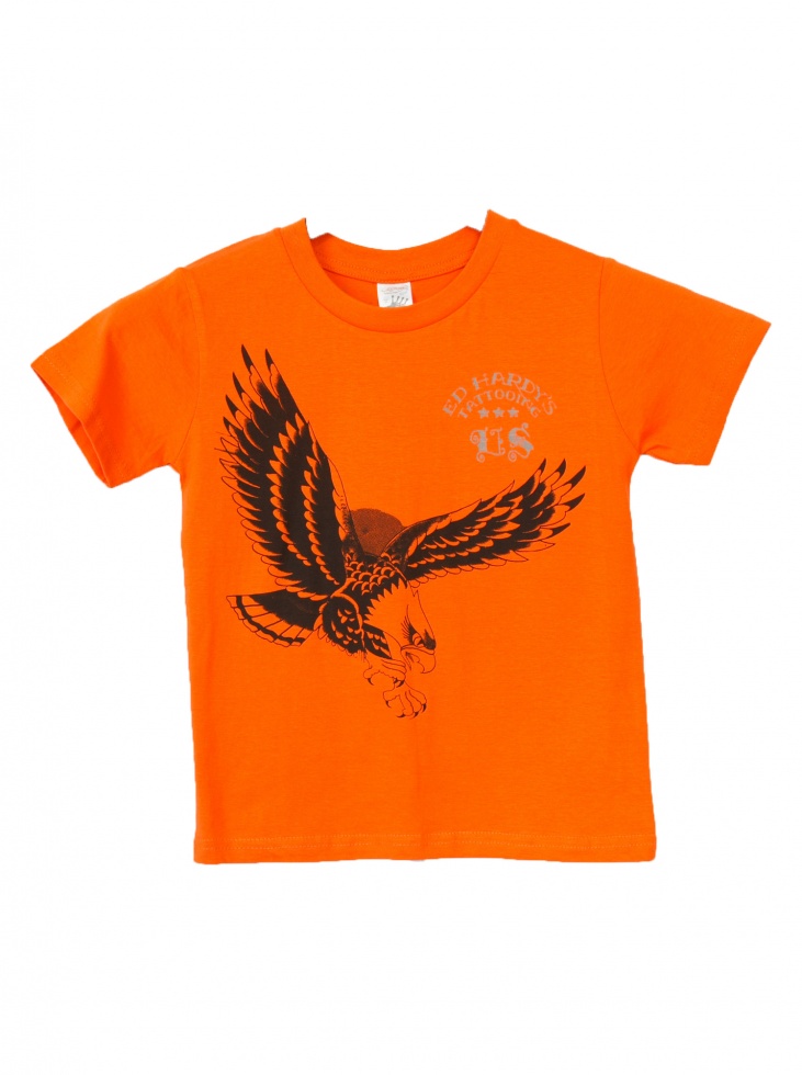Ed Hardy футболка 5BG234TEAG