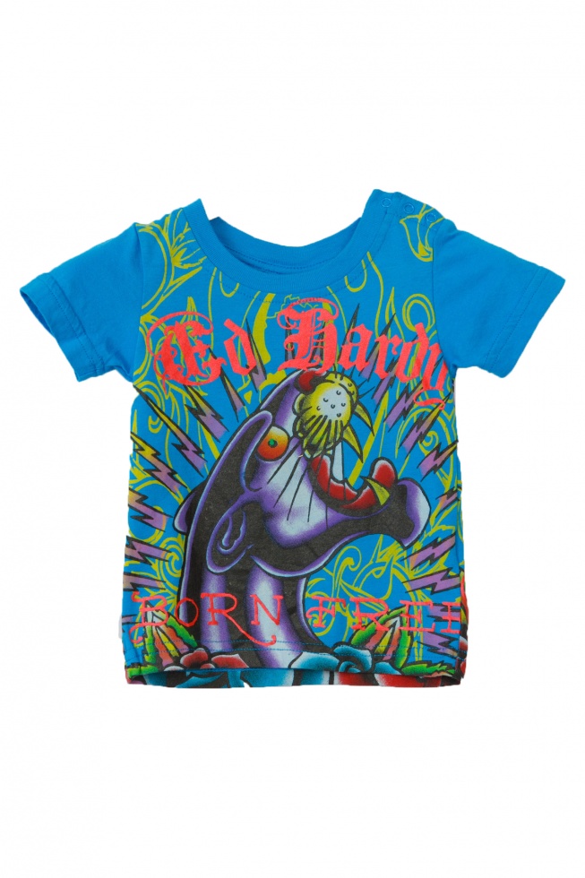 Ed Hardy футболка 5IG527PRS
