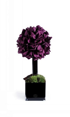 HERVE GAMBS куст 40 фиолетовых орхидей 25*55 см