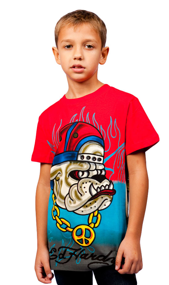 Ed Hardy футболка 5BG210BDG